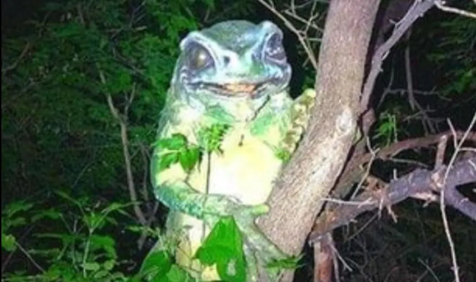 FoundTV found-footage Frogman